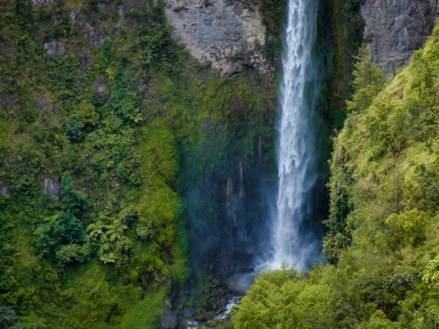 Air terjun tinggi di tebing yang tertutup hutan lebat